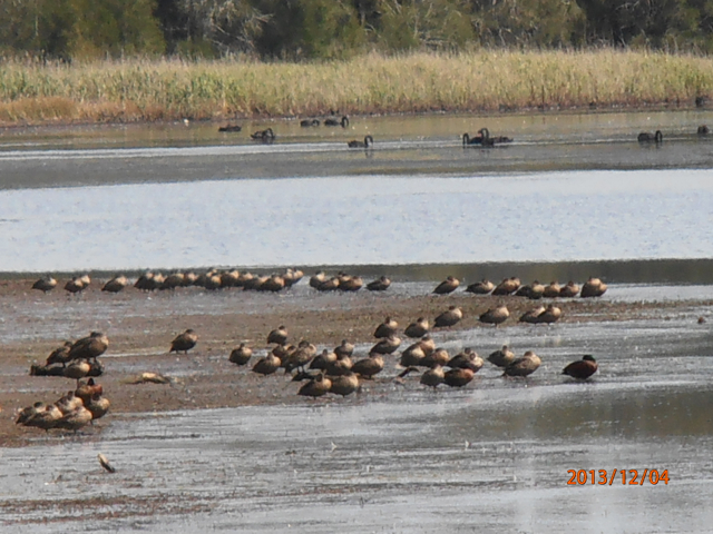 View across Tuggerah Lake to The Glen, Chittaway Point  2013